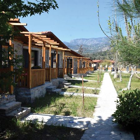 דטקה Begonvillage Tatil Evleri מראה חיצוני תמונה