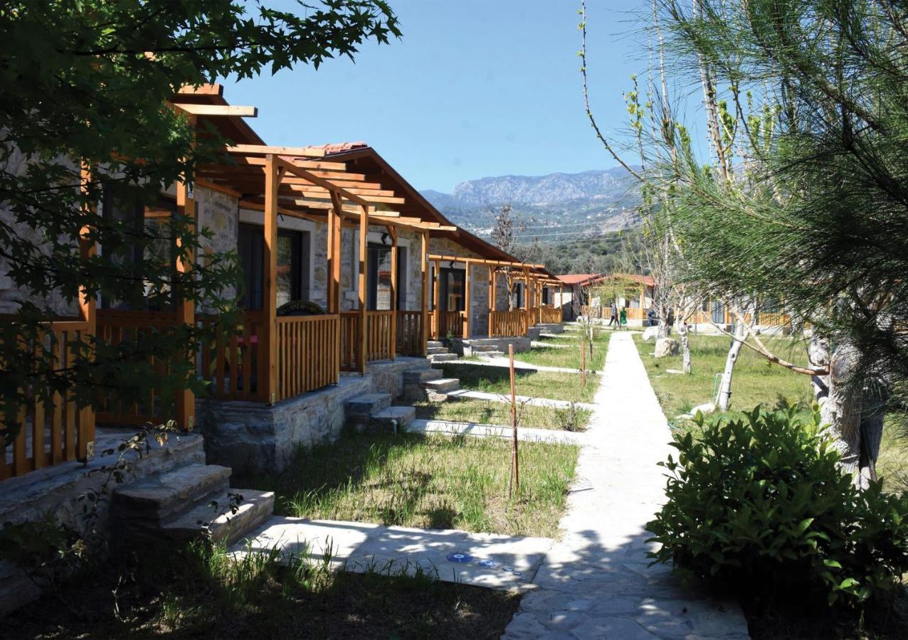 דטקה Begonvillage Tatil Evleri מראה חיצוני תמונה